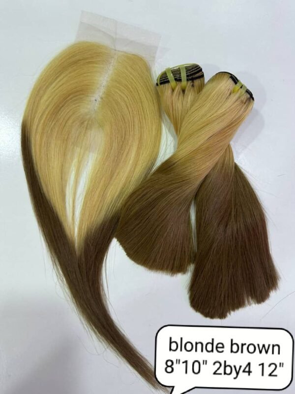 Vietnamese Bone Straight Hair - Blond Brown